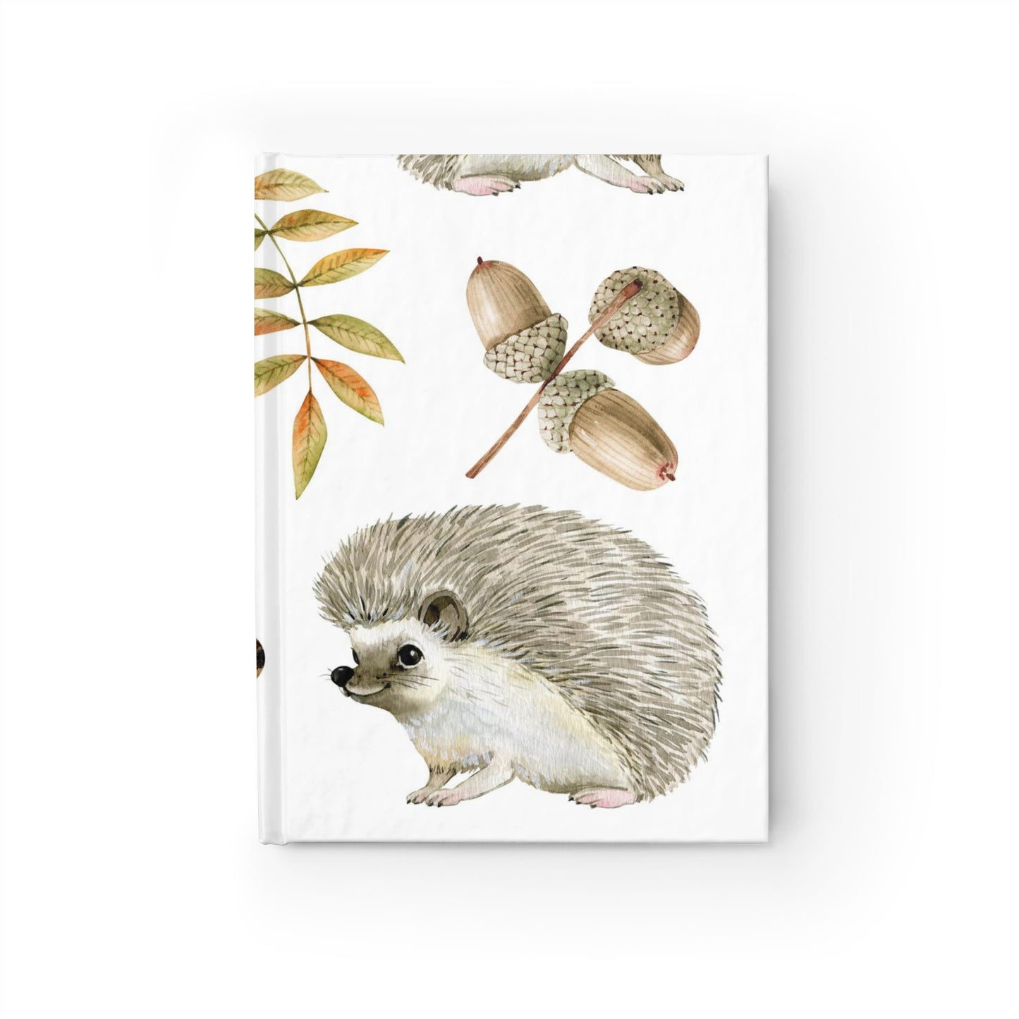 HEDGEHOGS JOURNAL