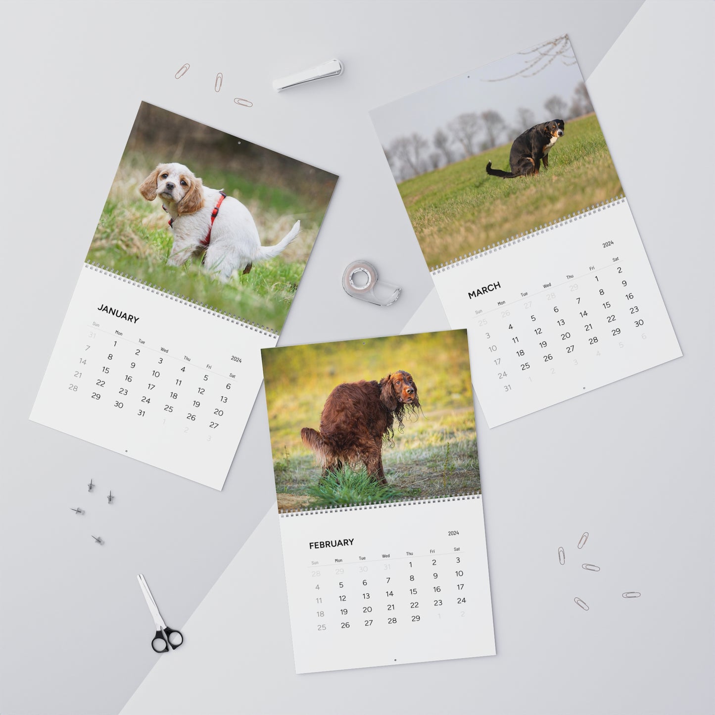 POOPING DOGS CALENDAR 2024