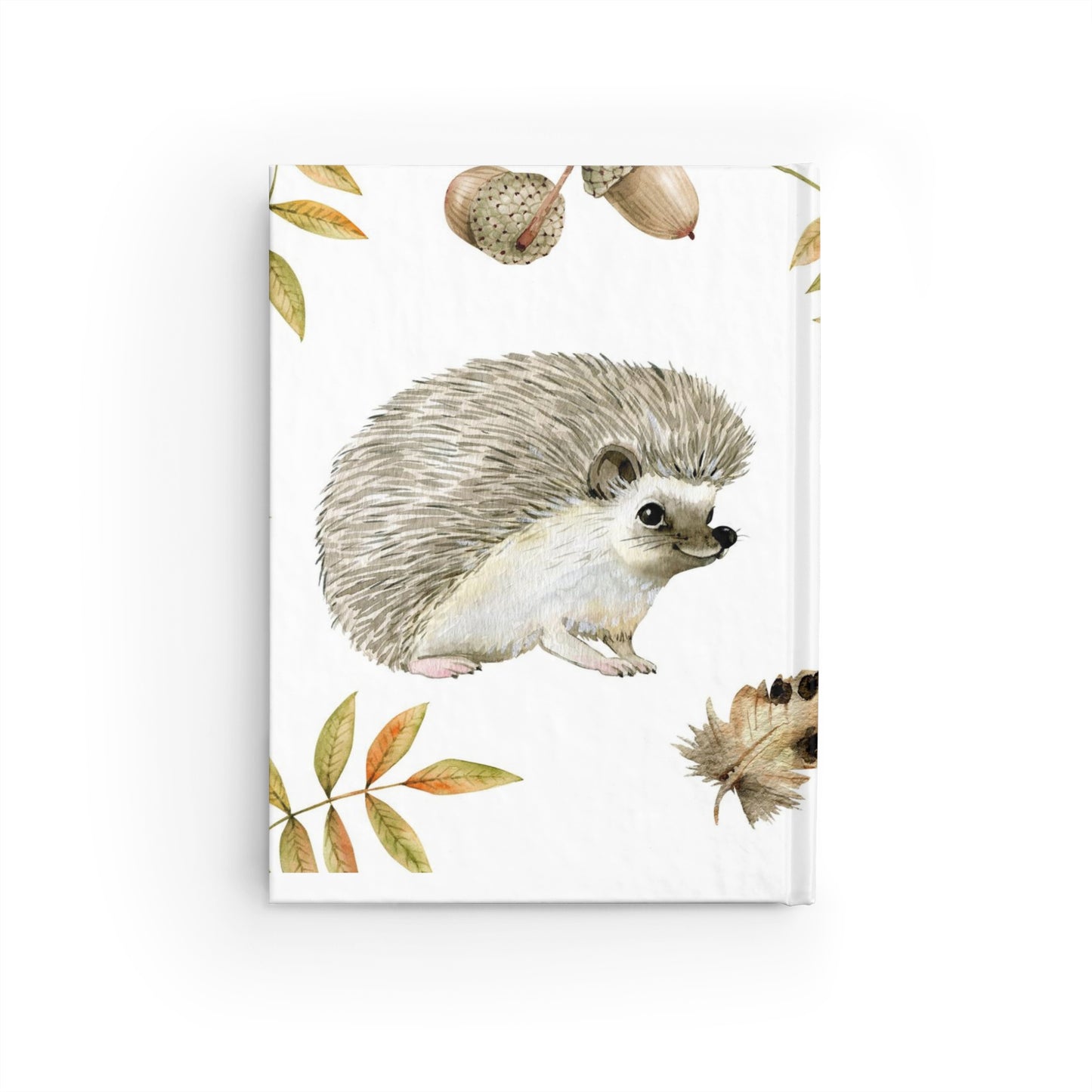 HEDGEHOGS JOURNAL