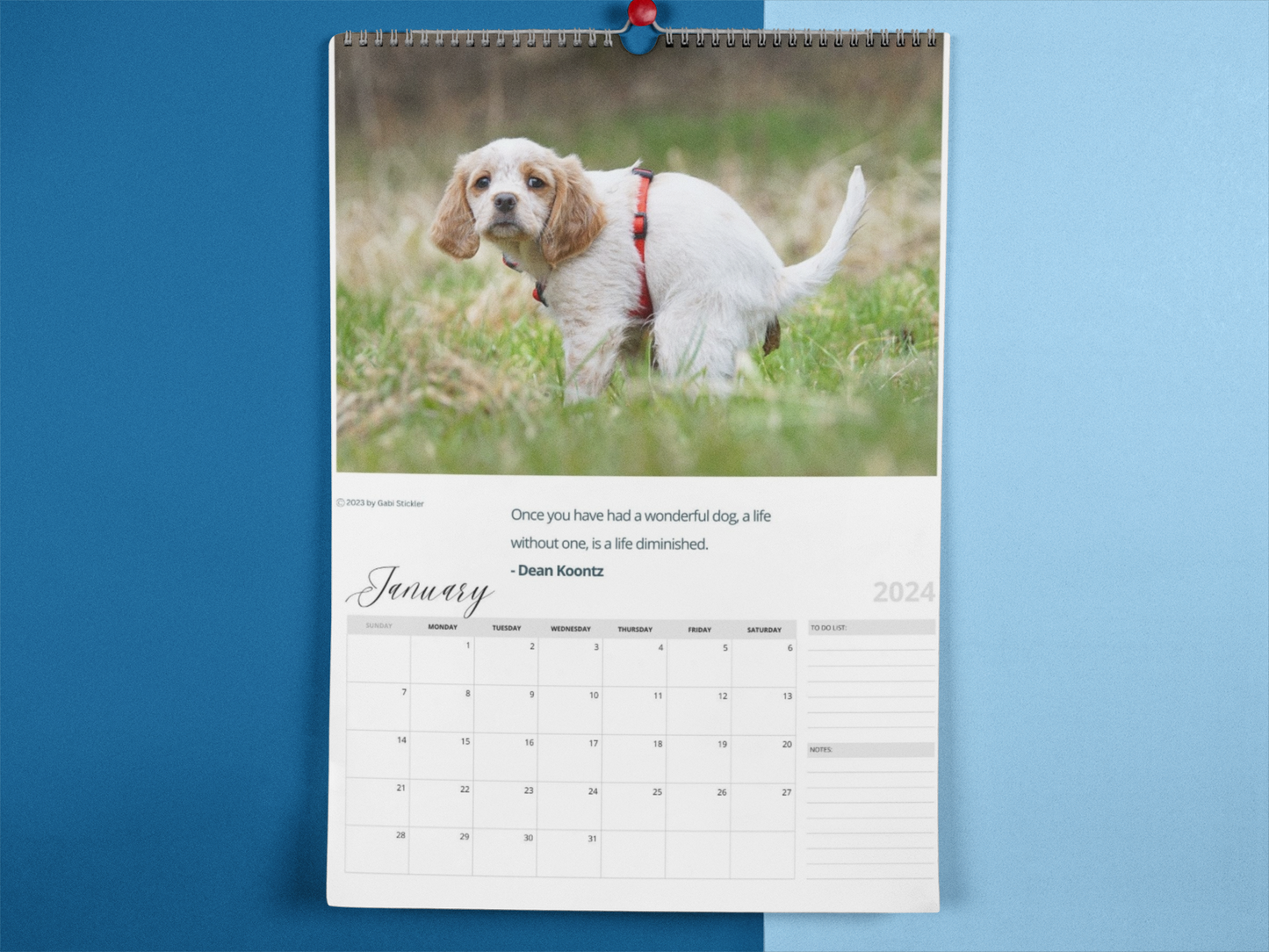 Pooping Dogs Calendar 2024 - (Jan - Dec 2024)