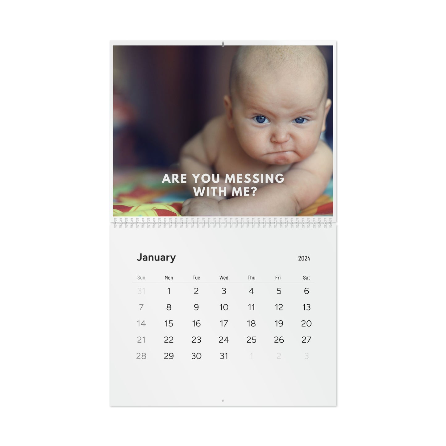 FUNNY BABY CALENDAR 2024 MONTHLY CALENDAR