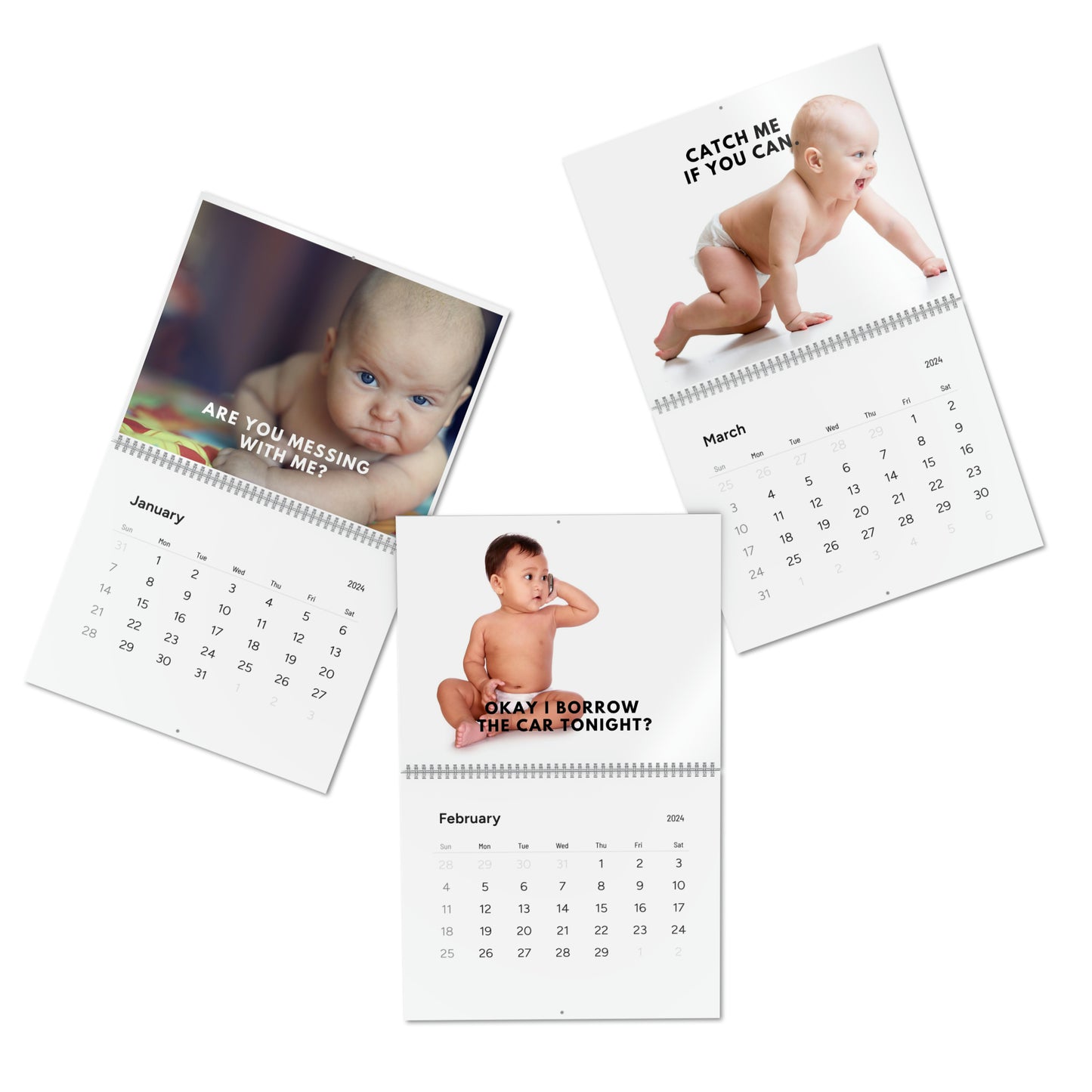 FUNNY BABY CALENDAR 2024 MONTHLY CALENDAR