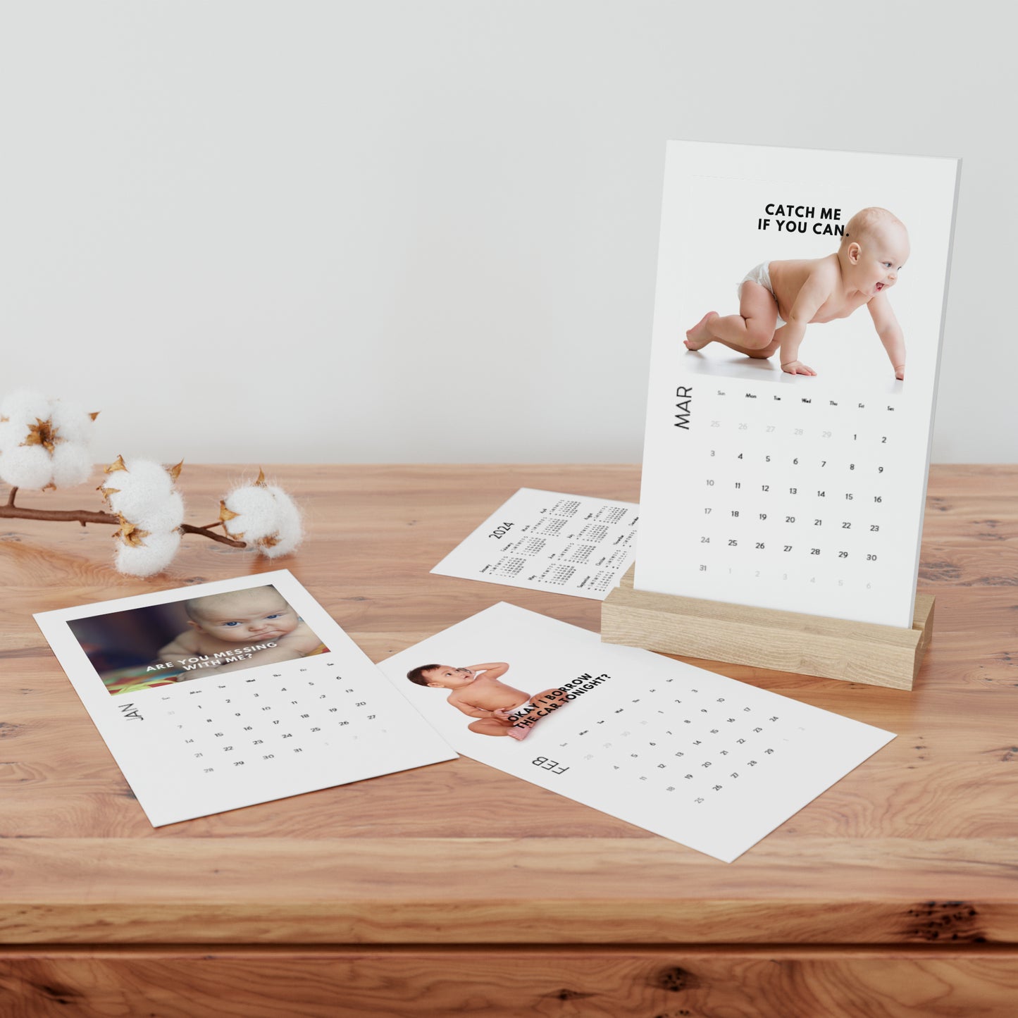 Funny Baby Calendar 2024 Monthly Desk Calendar