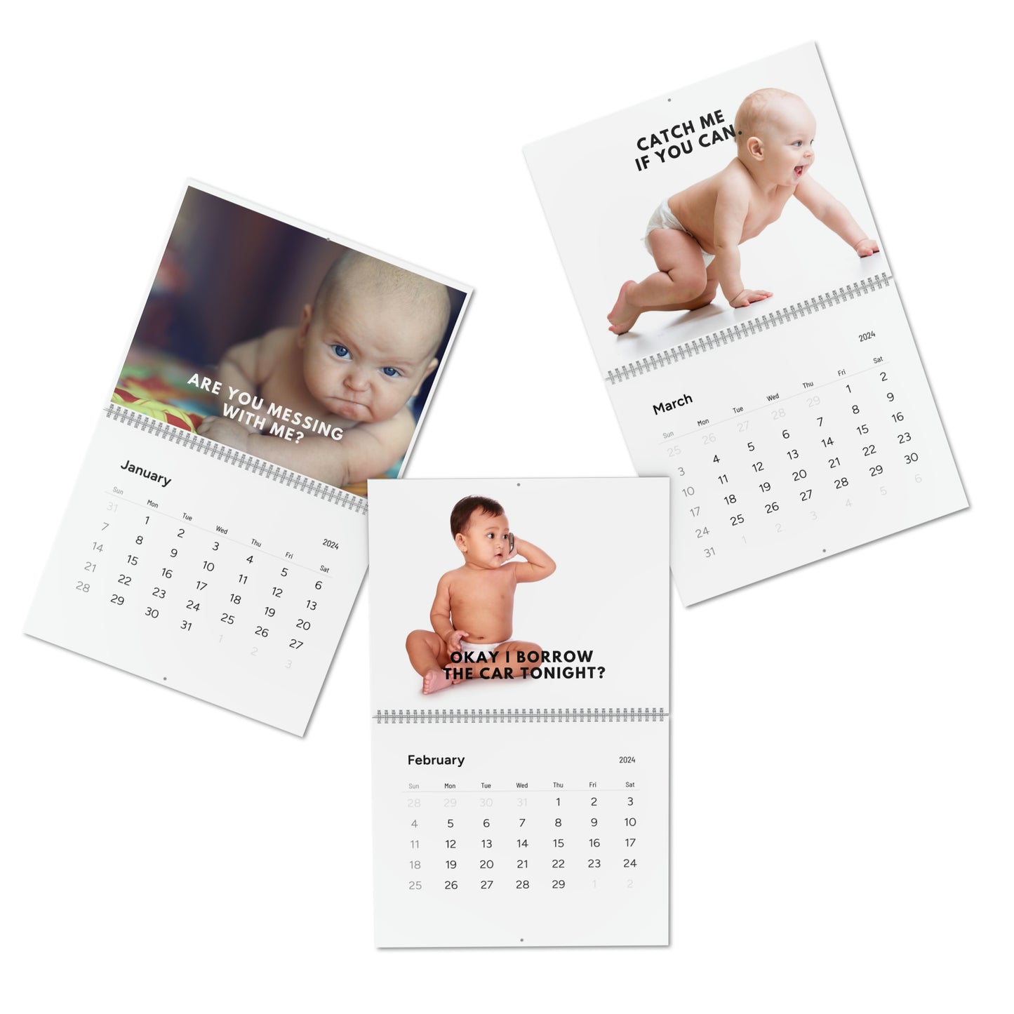 FUNNY BABY CALENDAR 2024 MONTHLY CALENDAR