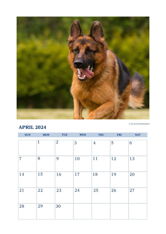 German Shepherd 2024 Monthly Calendar- (Jan - Dec 2024)