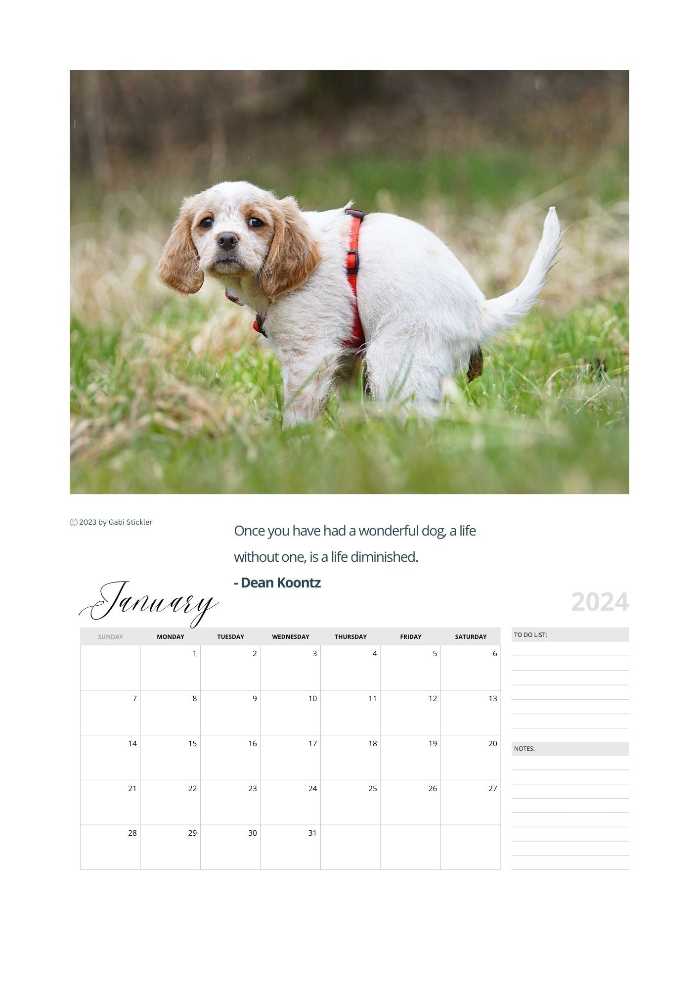 Pooping Dogs Calendar 2024 - (Jan - Dec 2024)